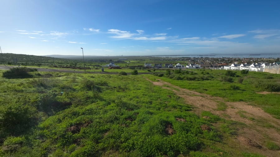 0 Bedroom Property for Sale in Welgedaan Estate Western Cape